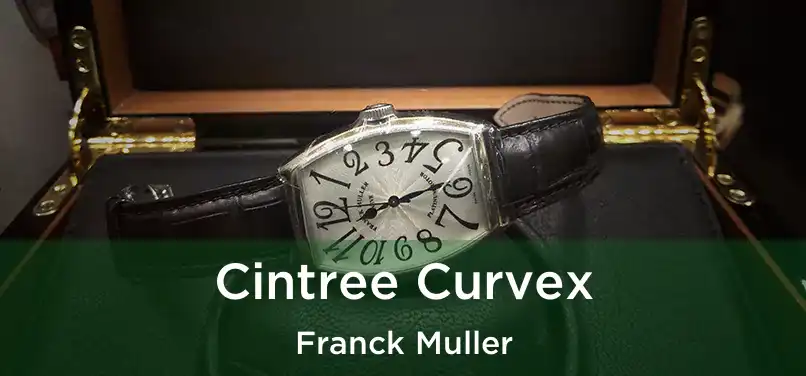  Cintree Curvex Franck Muller