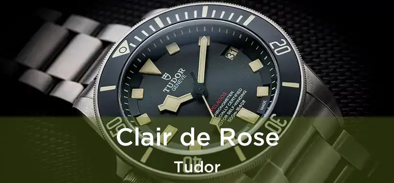  Clair de Rose Tudor