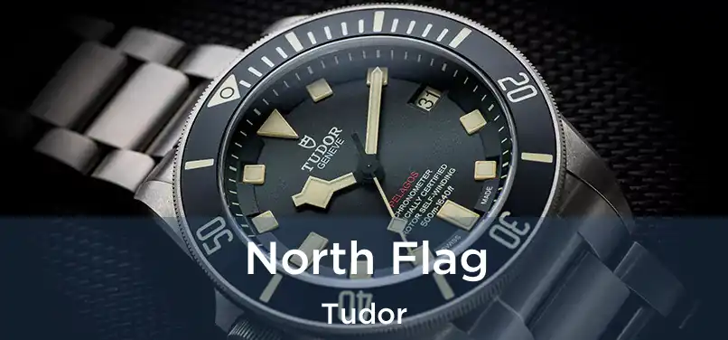  North Flag Tudor